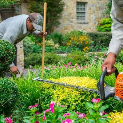 Landscaping & Garden Maintenance